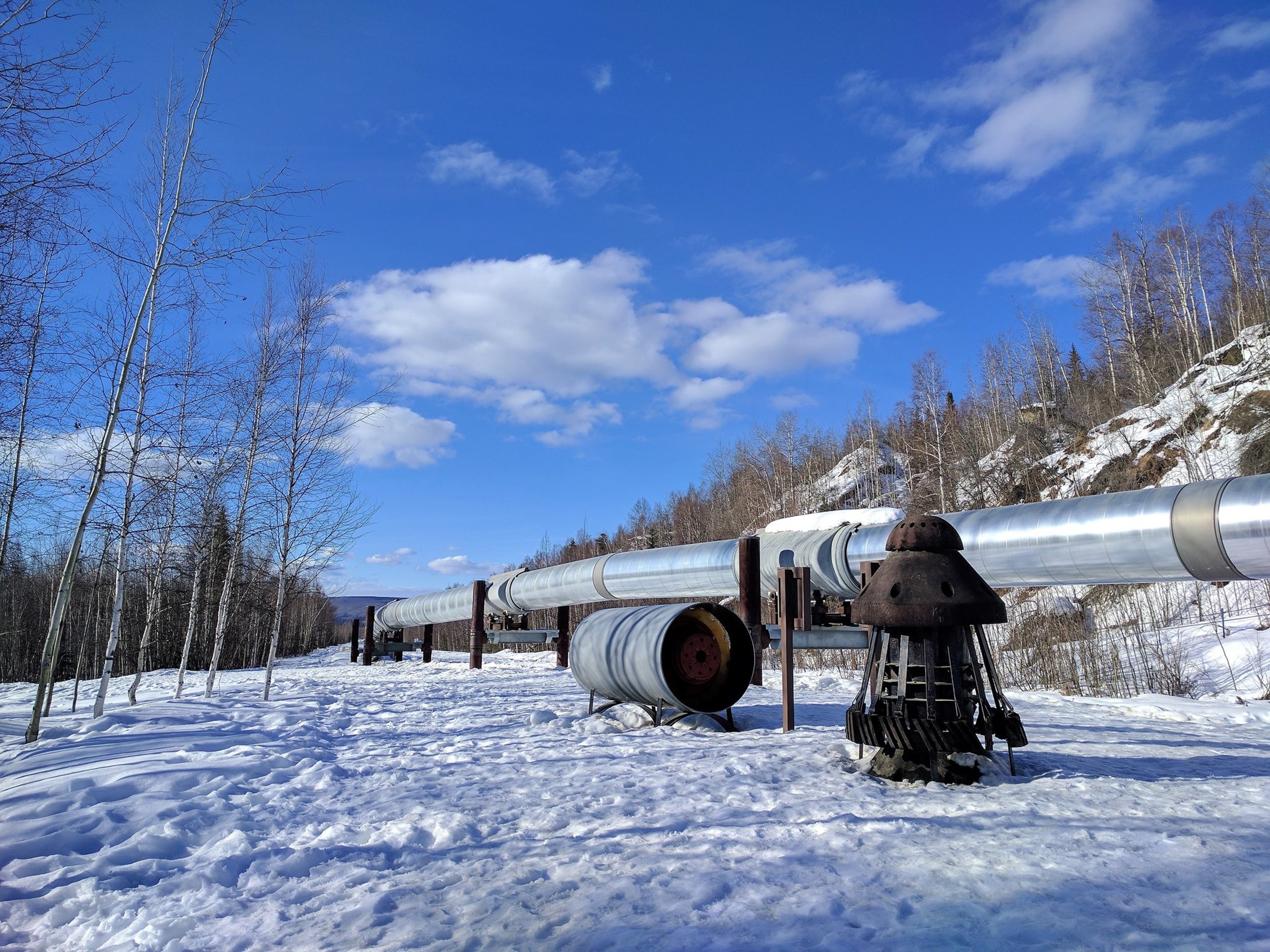 050117_0049_Alaskathema10