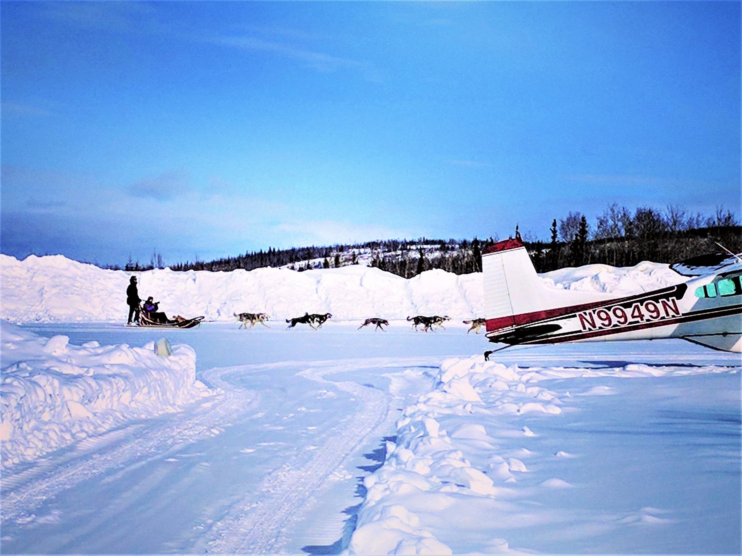 050117_0049_Alaskathema9