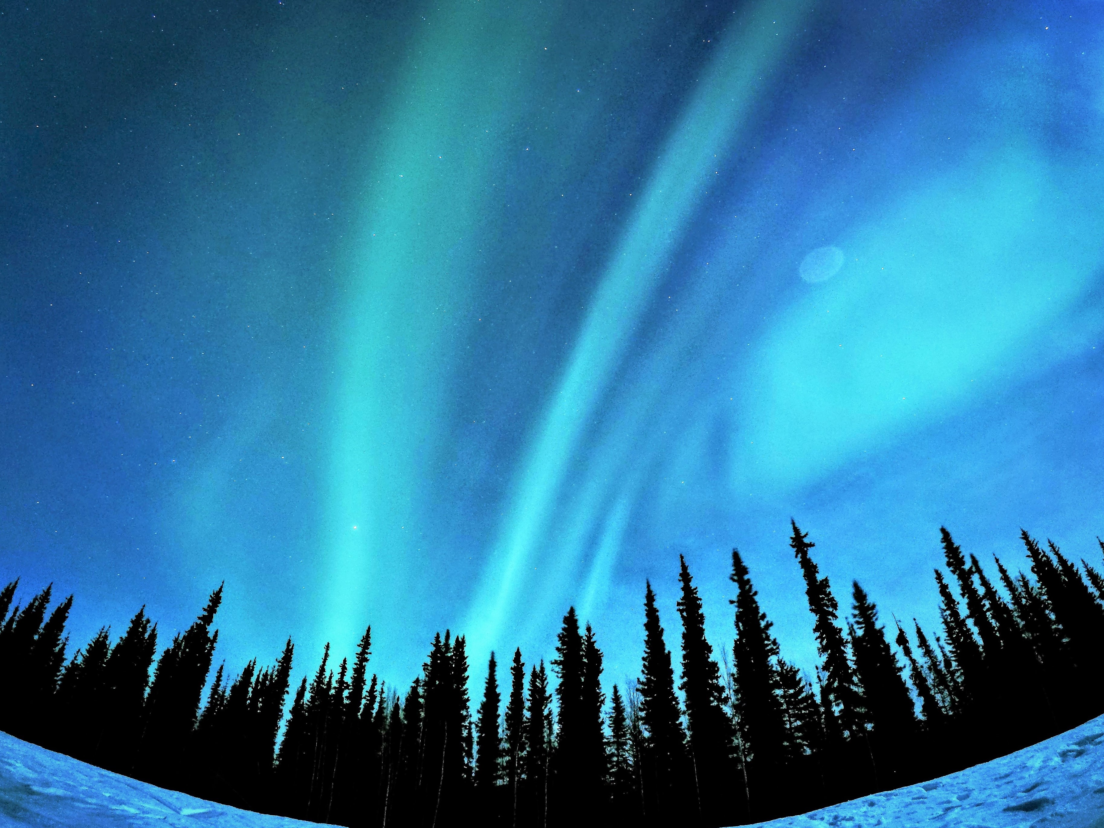 Alaska, the magnificent and captivating spirit of the frozen tundra