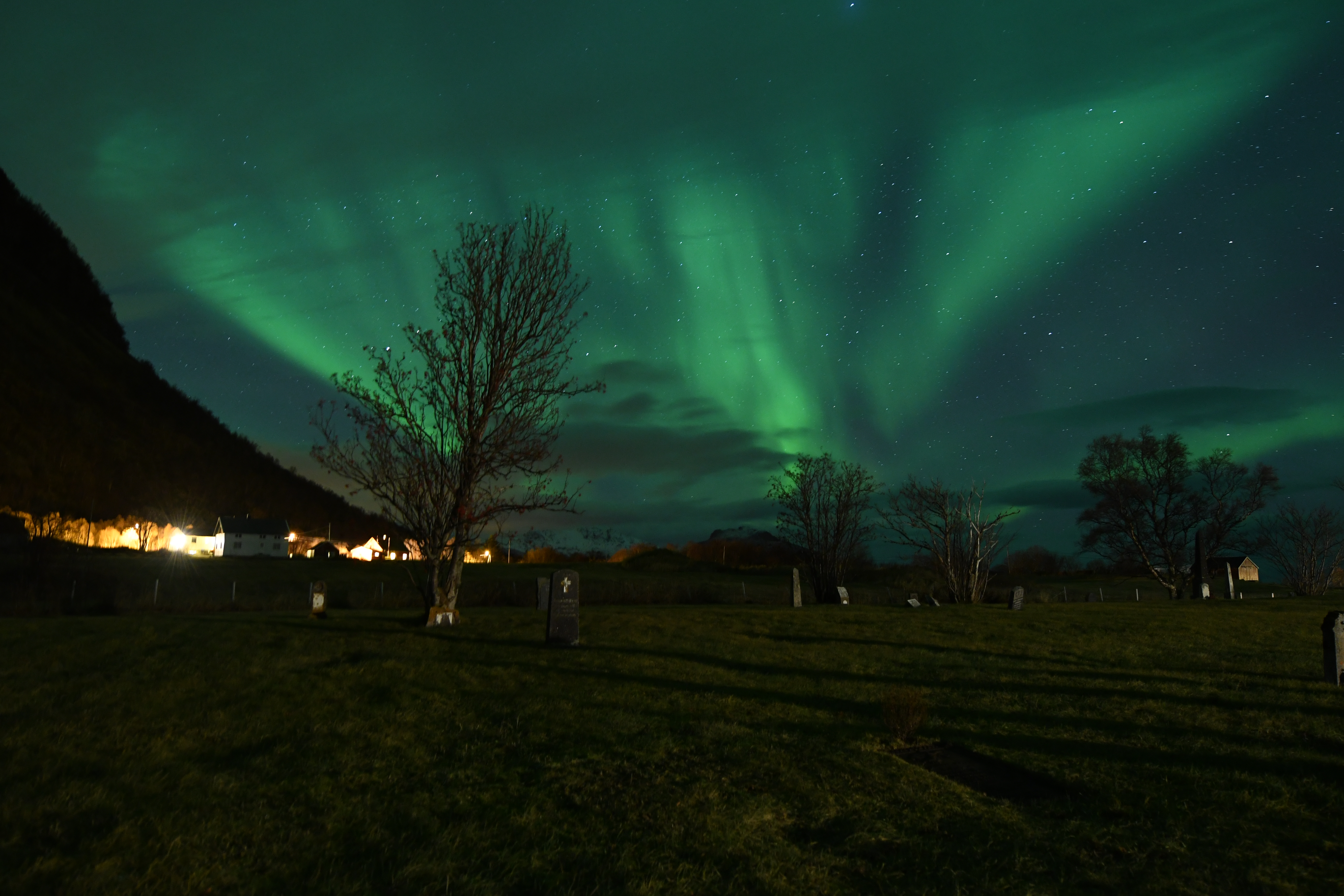 The Northern Lights lighting up the night ski above the trees