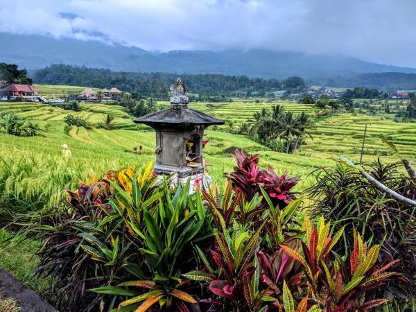 The island of the Gods - Bali, Indonesia